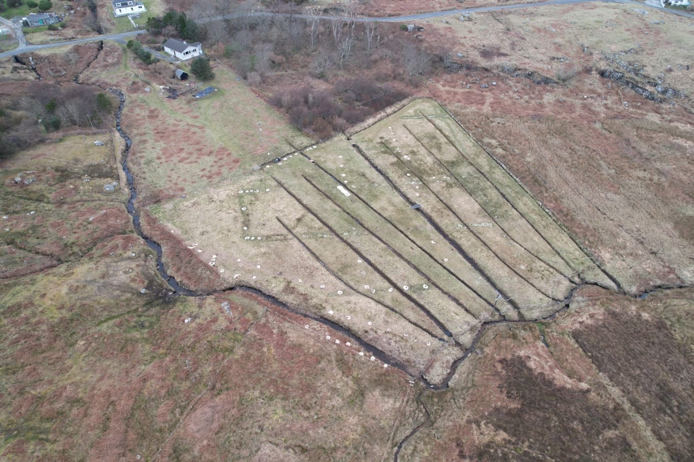 Woodview and the orchard
